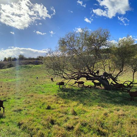 Agriturismo Podere Le Fornaci Greve in Chianti Ngoại thất bức ảnh